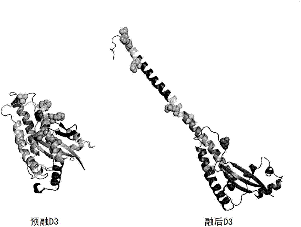 Anti-human respiratory syncytial virus (RSV) antibodies and methods of use