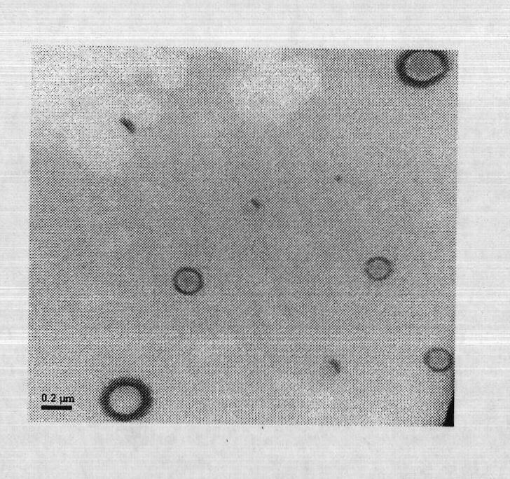 Compound ceftiofur suspension emulsion injection and preparation method thereof