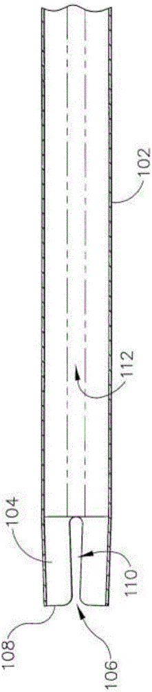 Biopsy device and introducer for biopsy device