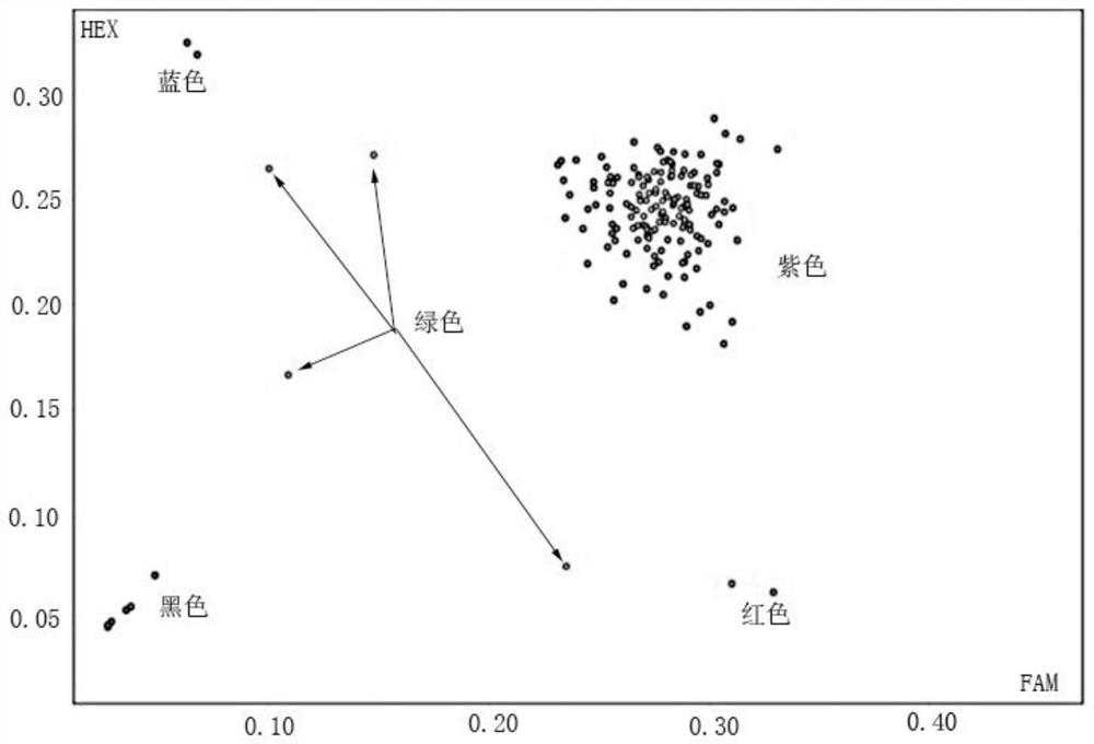 SNP locus, primer group and method for identifying cauliflower variety Zhejiang Nongsong 80-day