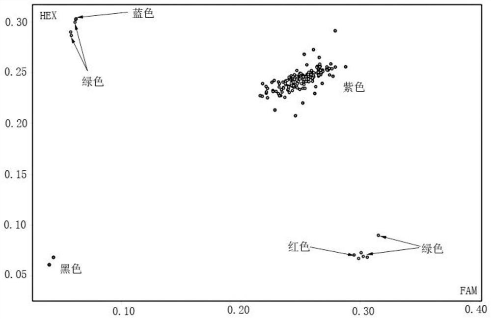 SNP locus, primer group and method for identifying cauliflower variety Zhejiang Nongsong 80-day