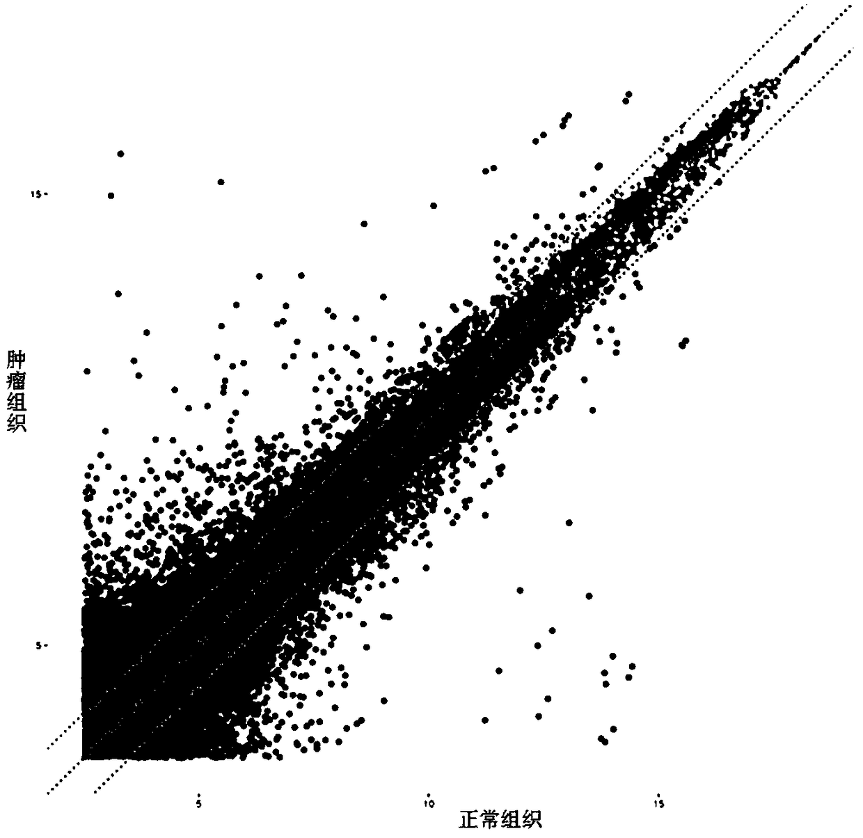 Pair of primers for amplifying LINC02253 gene and application thereof