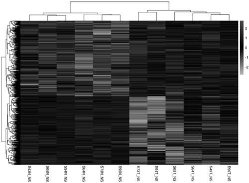 Pair of primers for amplifying LINC02253 gene and application thereof