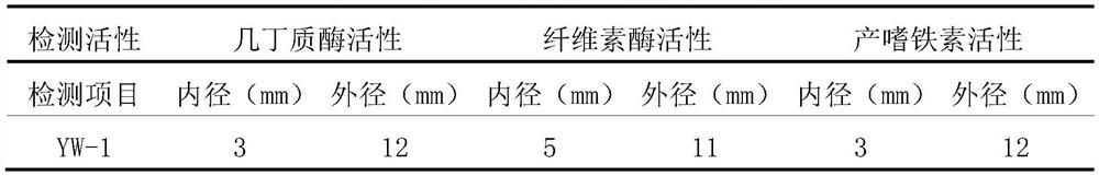 Biocontrol strain YW-1 as well as preparation of biocontrol inoculant and application thereof