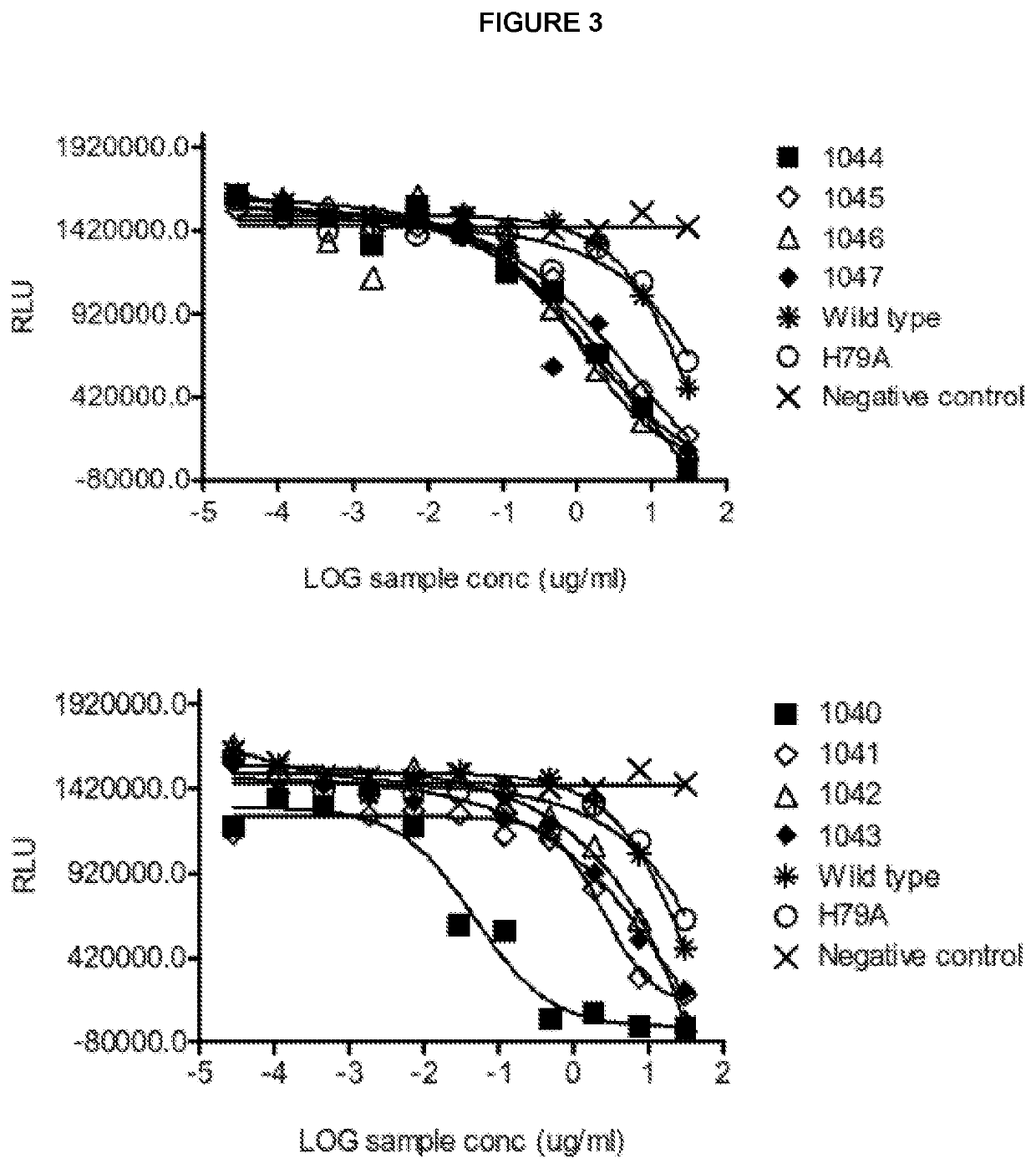 Novel polypeptides