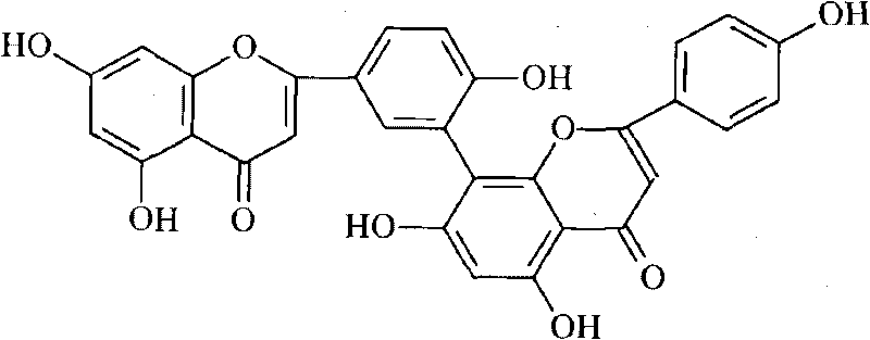 New application of natural product amentoflavone in treating cancers