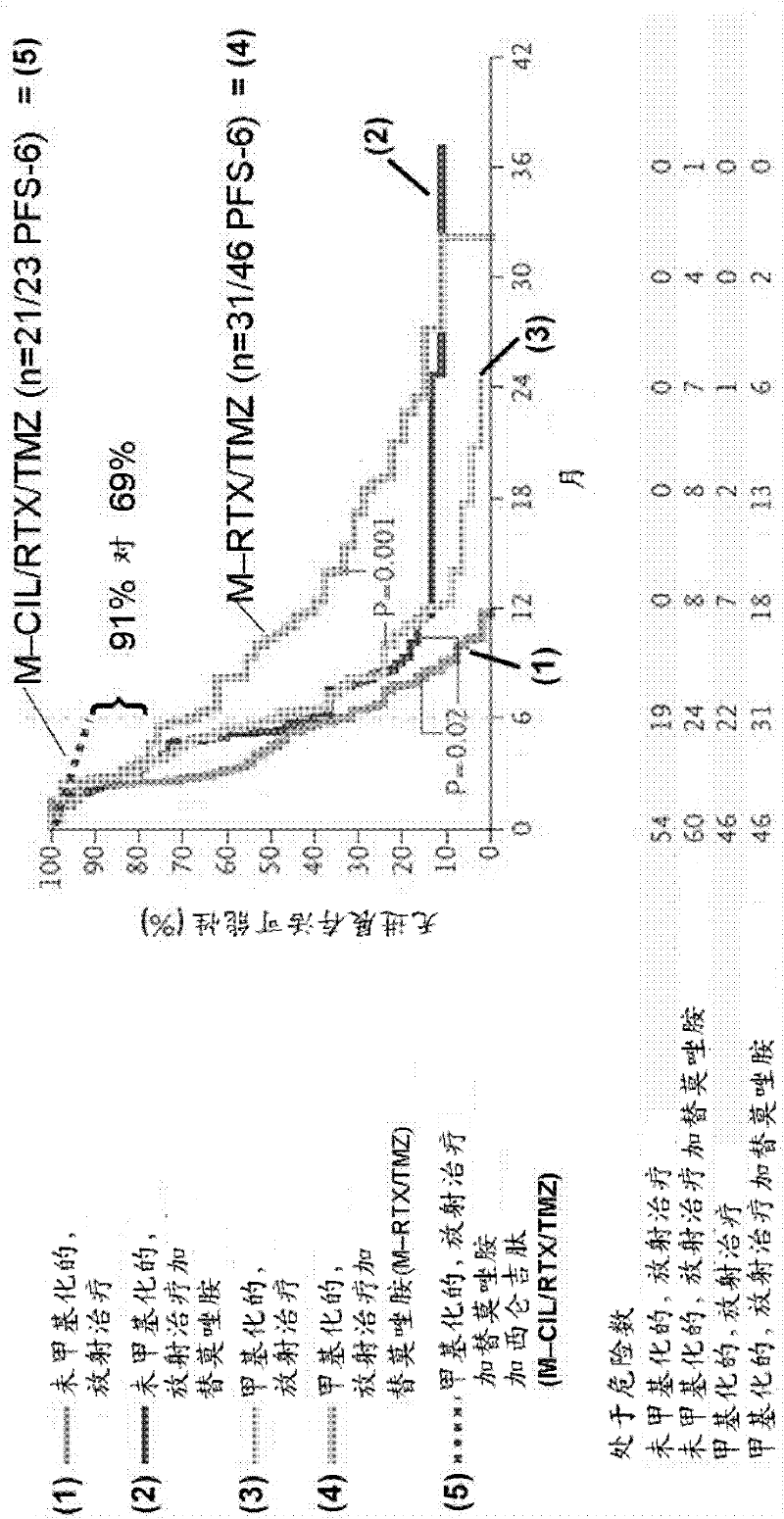 New therapy and medicament using integrin ligands for treating cancer