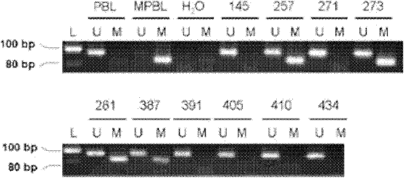 New therapy and medicament using integrin ligands for treating cancer