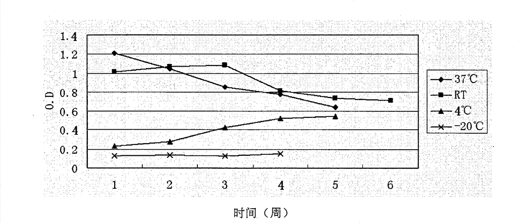 Preparation method of E hepatitis rabbit-human chimeric antibody quality control substance