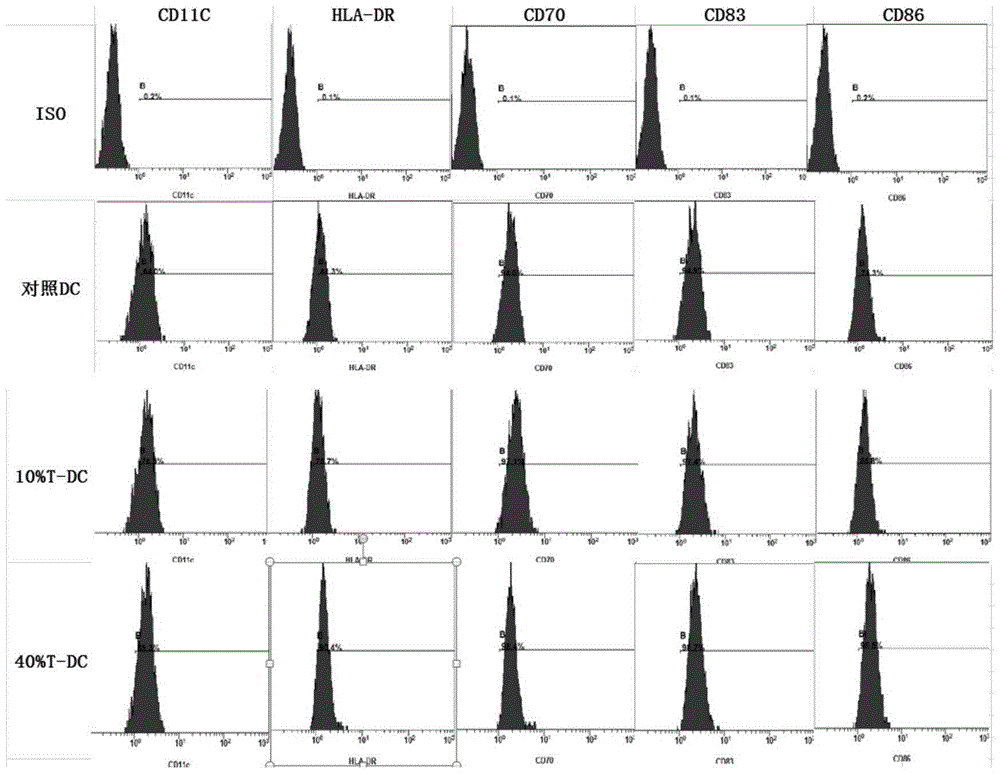 Kit for activating esophagus cancer specific immunity response