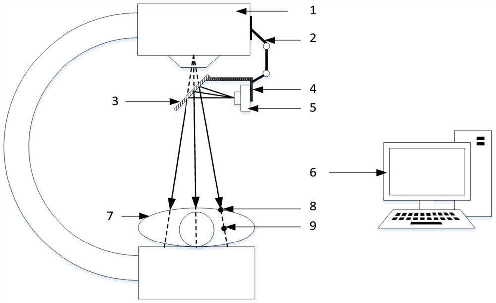 An in-situ visualization system for X-ray fluoroscopic imaging and its calibration method