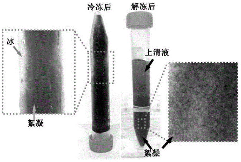 A method for concentration and purification of graphene and graphene-based composite material dispersion