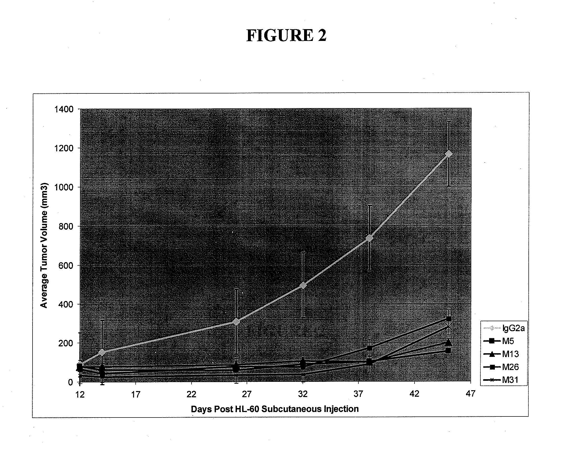 Antibodies specific for cll-1