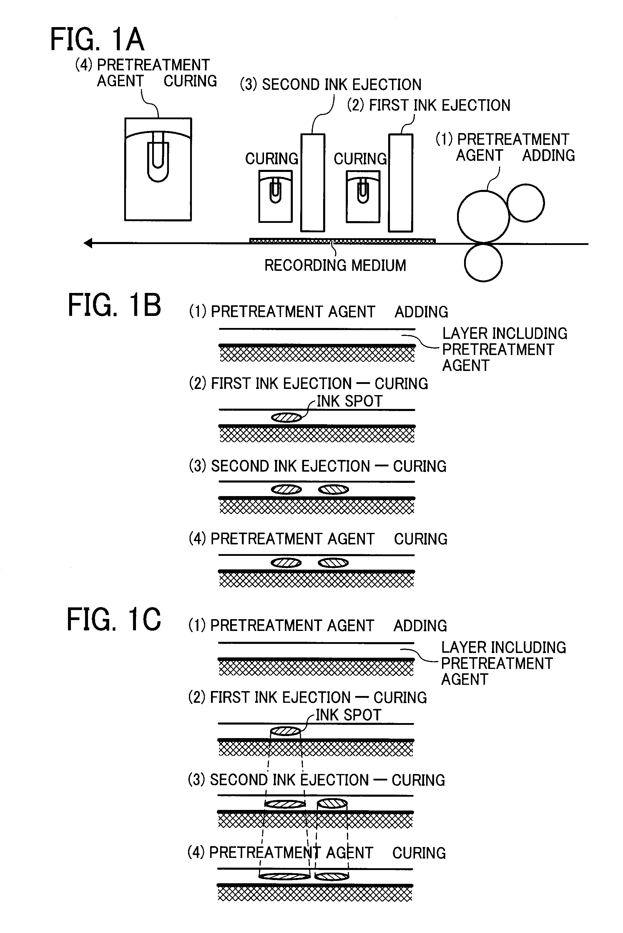 Inkjet image forming apparatus and inkjet image forming method