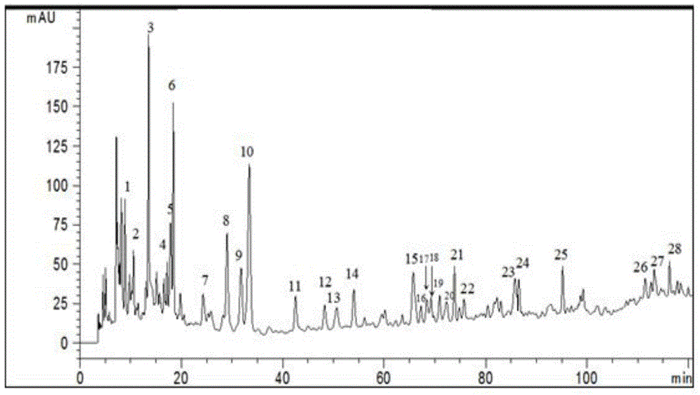 Fingerprint detection method for antitumor traditional Chinese medicine composition