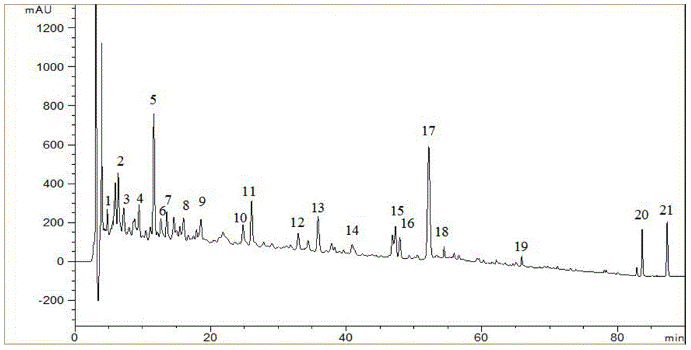 Fingerprint detection method for antitumor traditional Chinese medicine composition