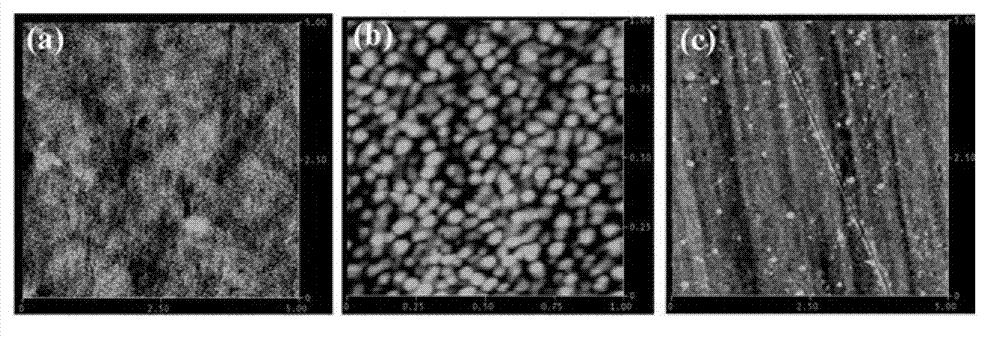 Surface plasma resonance sensing chip and preparation method thereof and application thereof