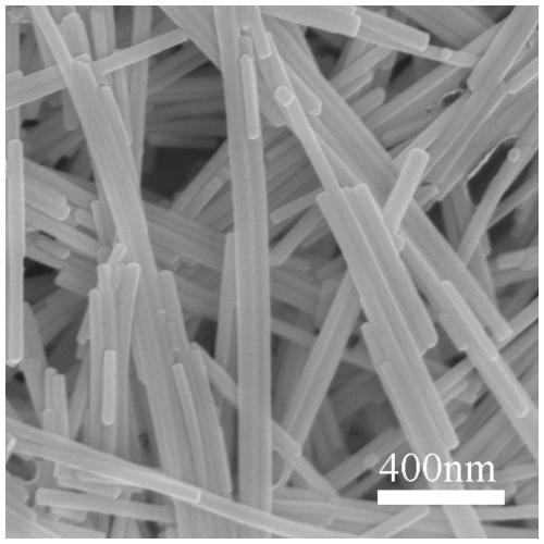 Phosphorus-doped Mn0.3Cd0.7S nanorod photocatalyst as well as preparation method and application thereof