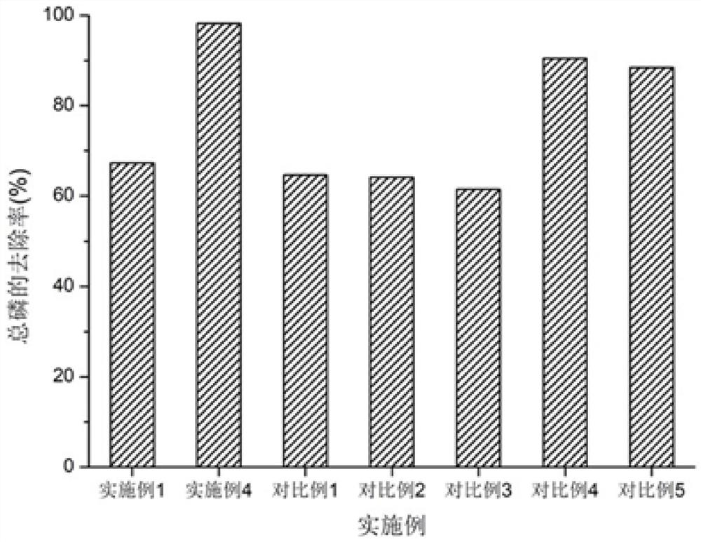 A sewage deep denitrification biochemical pool