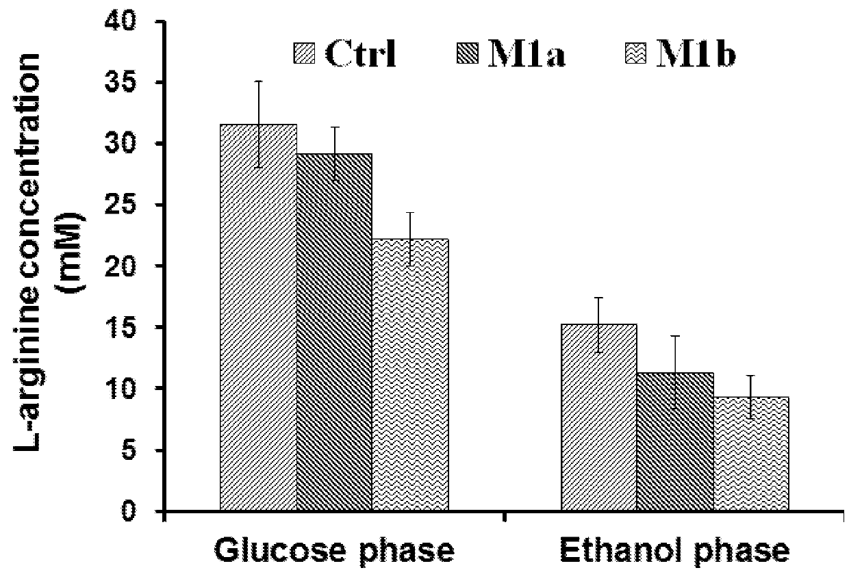 L-ornithine production in eukaryotic cells