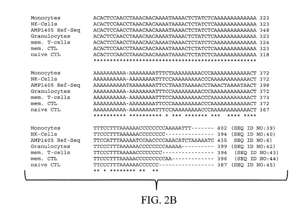 Epigenetic Markers for the Identification of Blood Sub-cells of Type 1