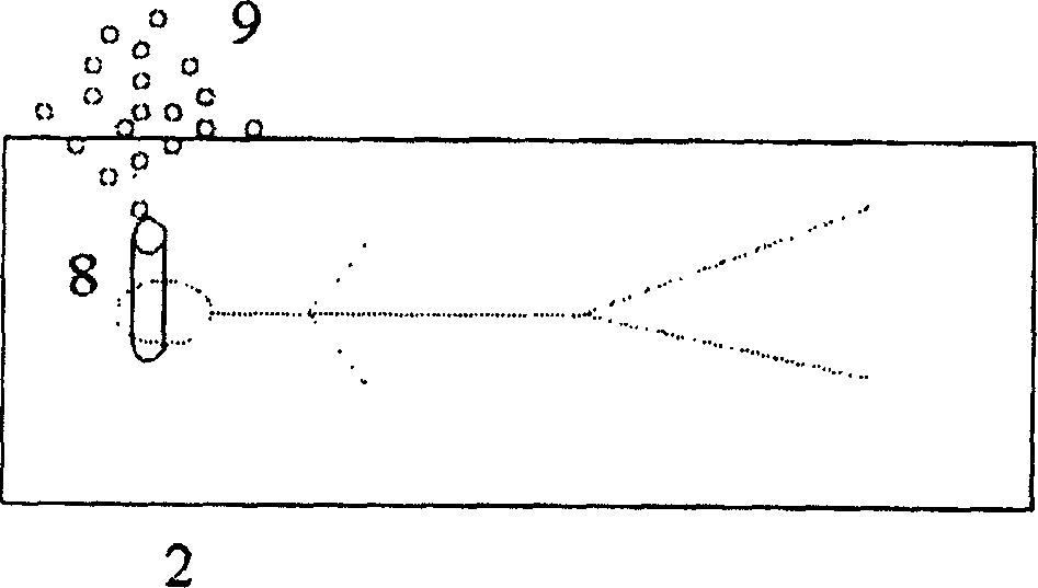 New tracer based on nucleic acid and application thereof