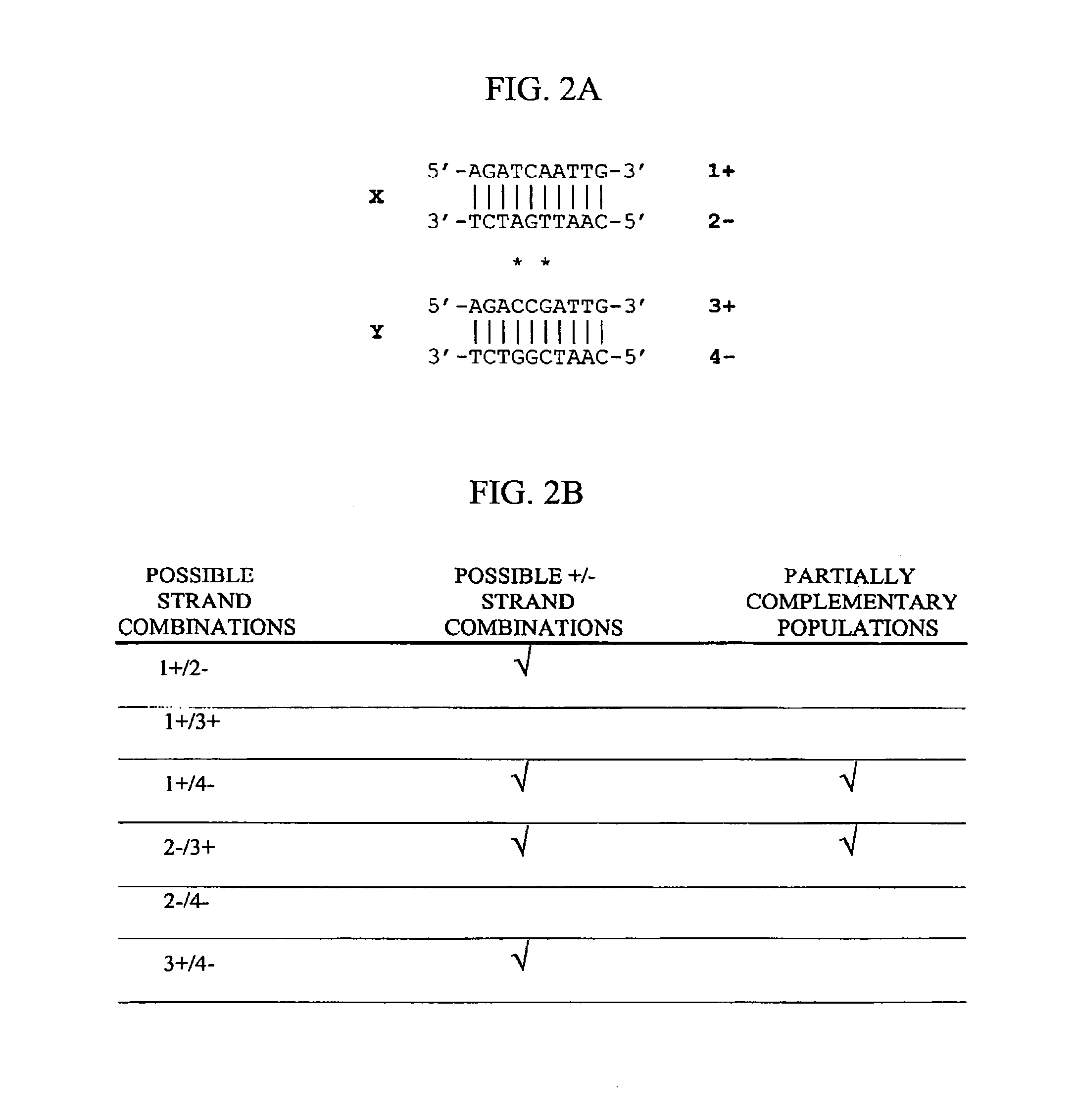 Method of increasing complementarity in a heteroduplex