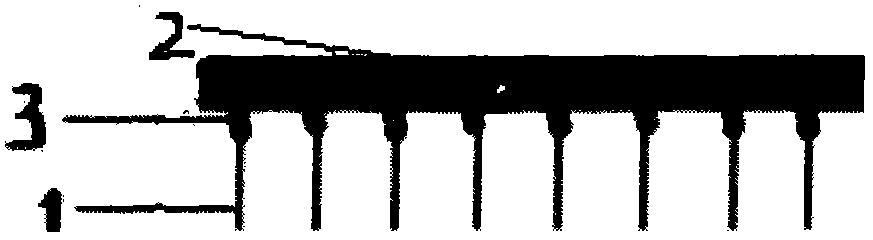 Direct-insertion type closing device of animal trapper