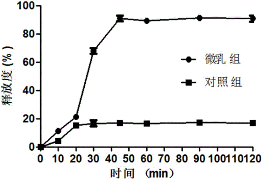 Self-emulsifying system composition of 10-hydroxycamptothecine as well as preparation method and applications of self-emulsifying system composition