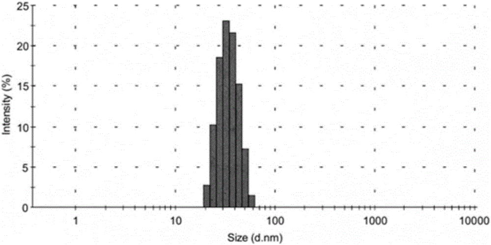 Self-emulsifying system composition of 10-hydroxycamptothecine as well as preparation method and applications of self-emulsifying system composition