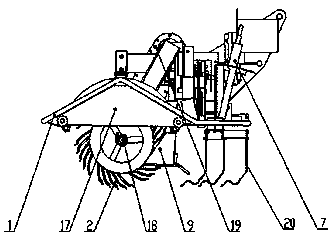 Interrow and interplant weeding device for paddy field seedling