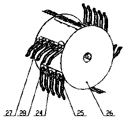 Interrow and interplant weeding device for paddy field seedling