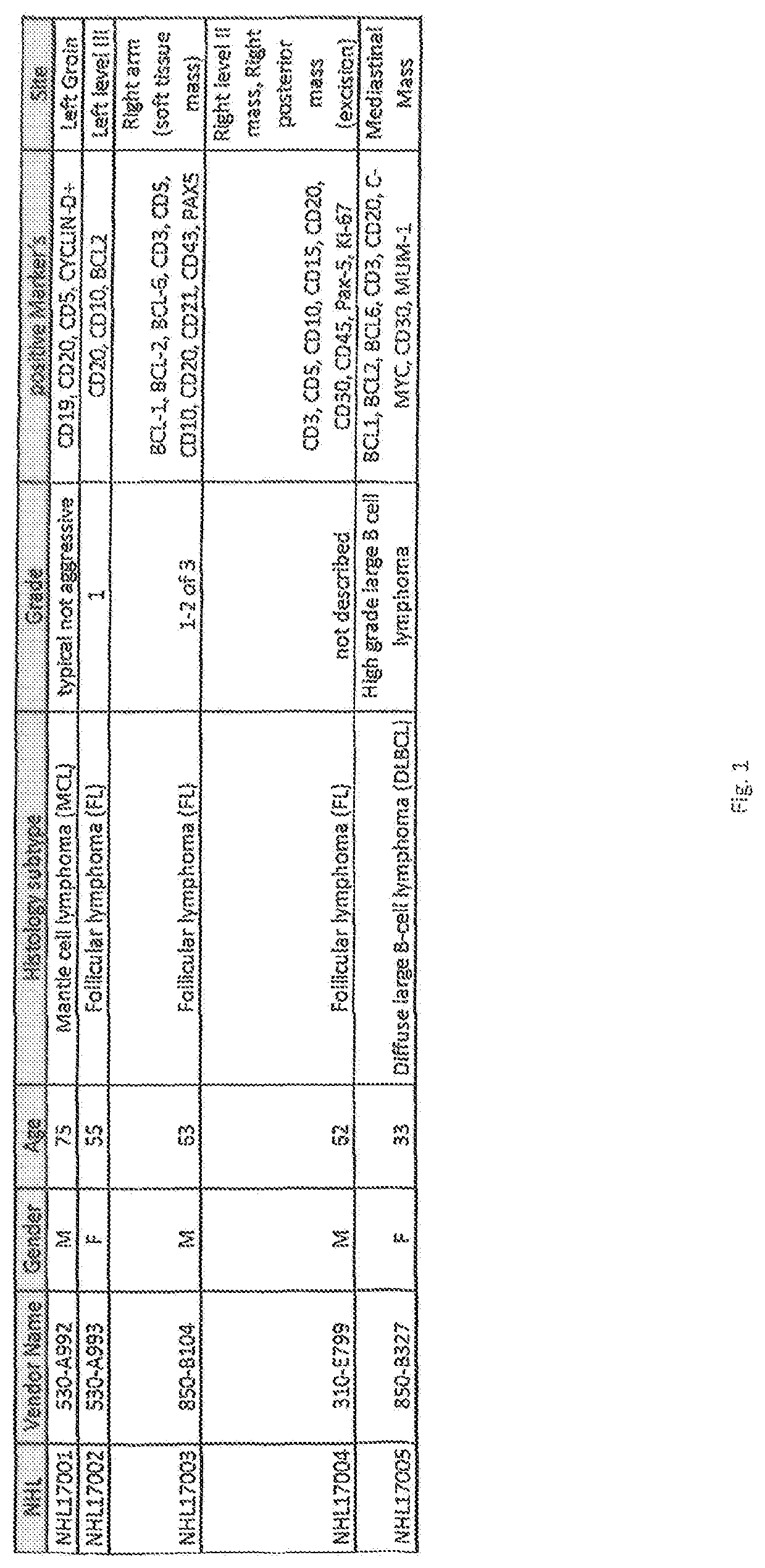 Expansion of tumor infiltrating lymphocytes from liquid tumors and therapeutic uses thereof