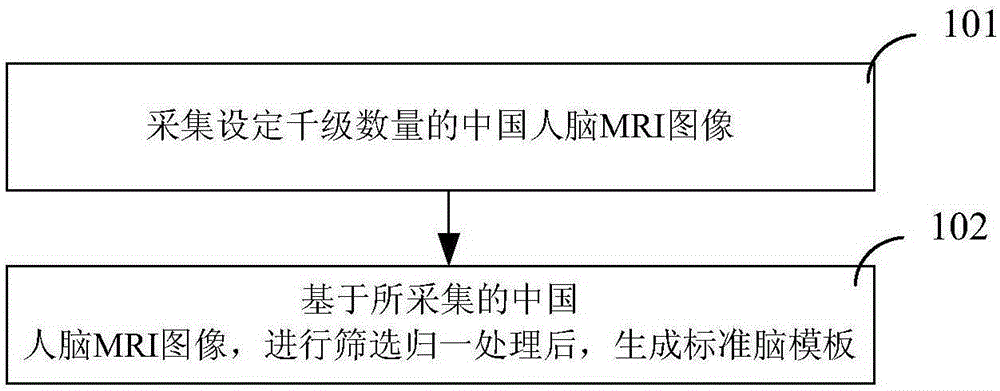 Brain template generating method