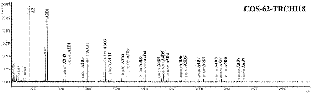 Trichoderma reesei chitinase and preparation method and applications thereof