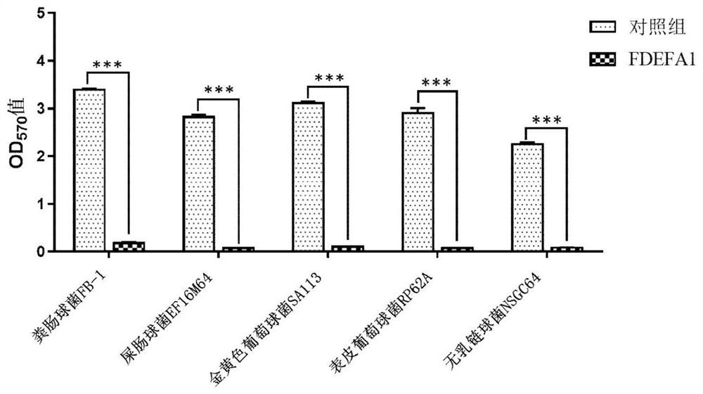 Application of compound FDEFA1 in preparation of gram-positive coccus inhibitor