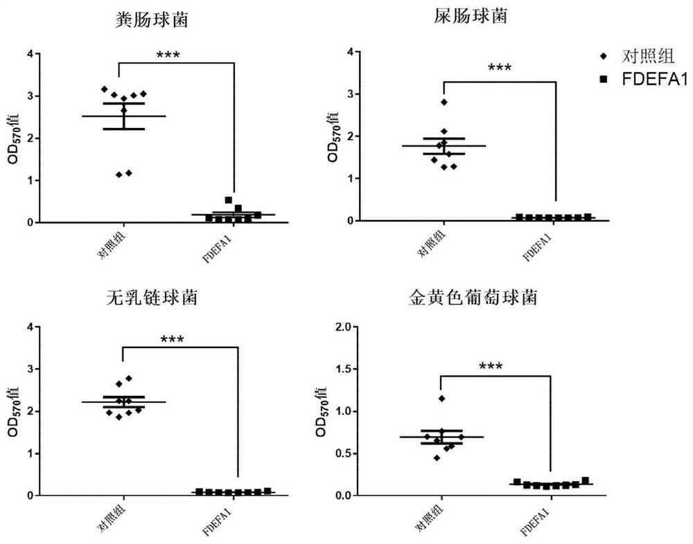 Application of compound FDEFA1 in preparation of gram-positive coccus inhibitor