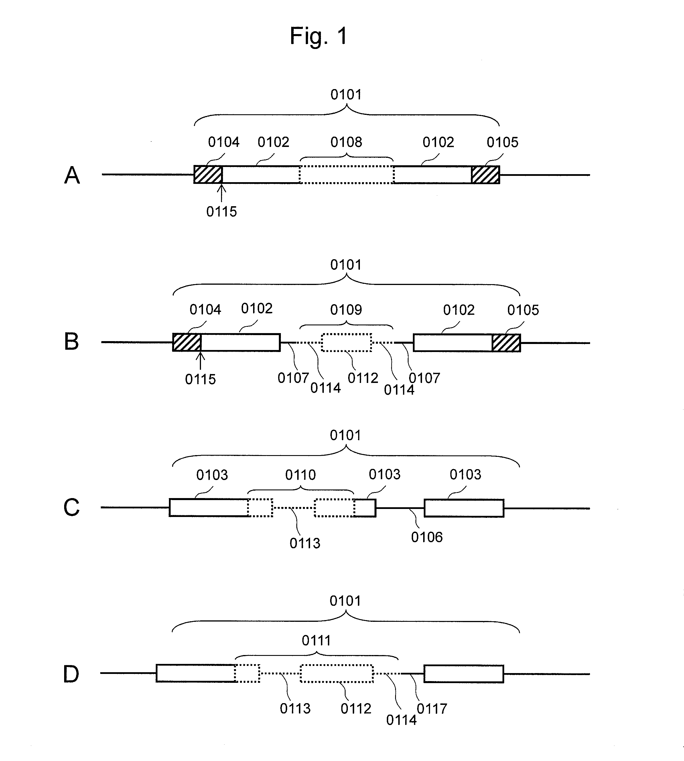 Agent for suppressing expression of dominant mutant gene