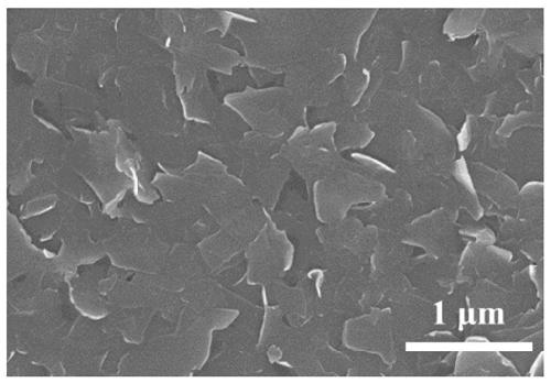 Alkali metal salt assisted ultrasonic stripping processed graphene as well as preparation method and application thereof