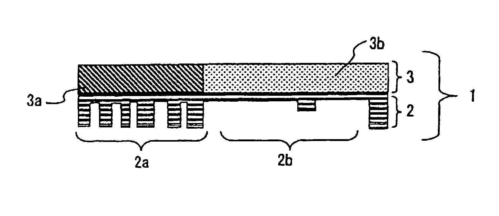 Stamper and transfer apparatus