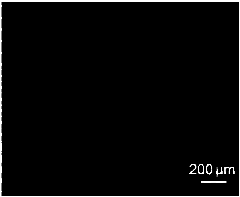 Anilino-containing amphiphilic 4-difuoro-4-borata-3a-azonia-4a-aza-s-indacene derivative as well as preparation method and application thereof