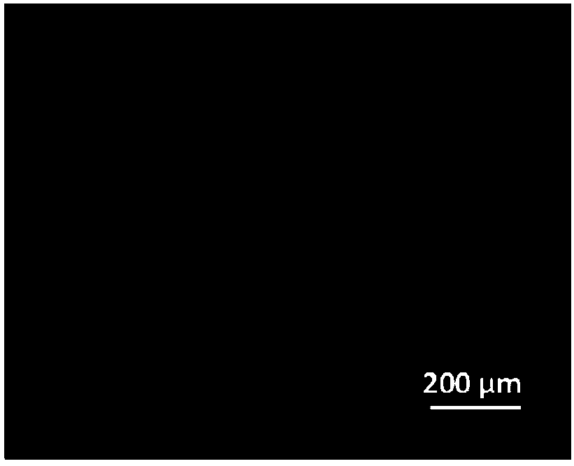 Anilino-containing amphiphilic 4-difuoro-4-borata-3a-azonia-4a-aza-s-indacene derivative as well as preparation method and application thereof