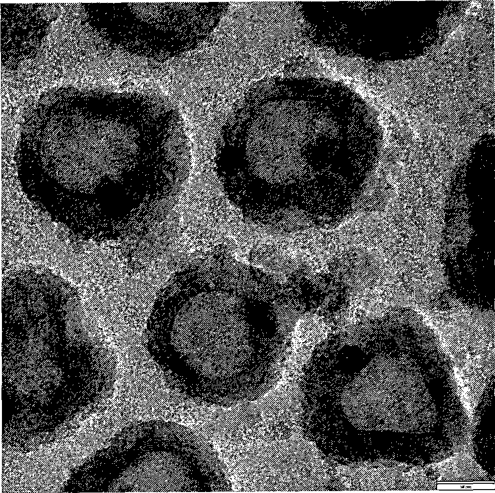 Preparation of inorganic magnetic material for filling hollow mesoporous silicon dioxide sphere