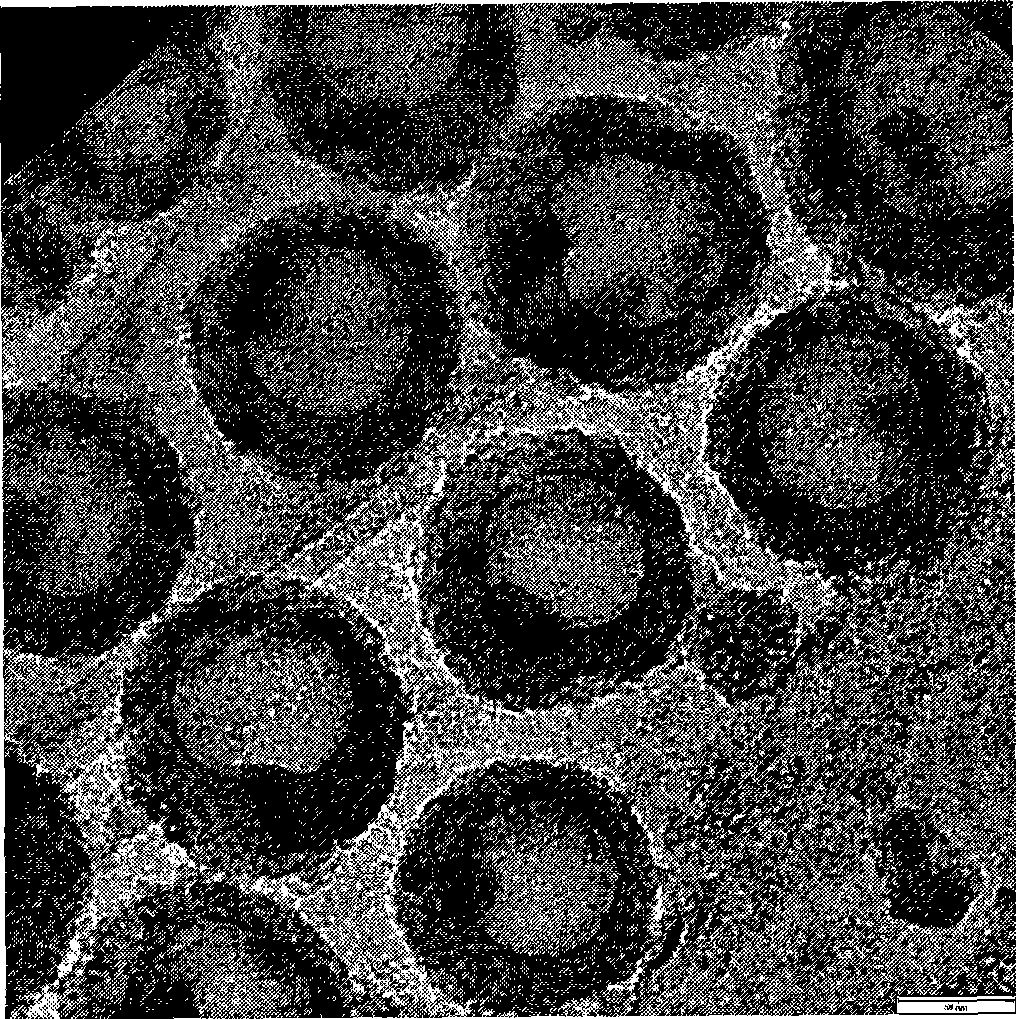 Preparation of inorganic magnetic material for filling hollow mesoporous silicon dioxide sphere