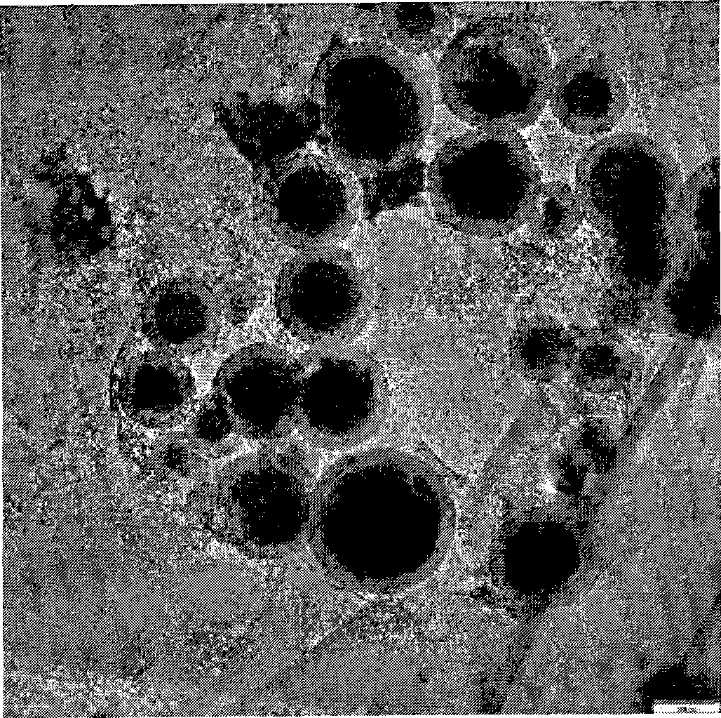 Preparation of inorganic magnetic material for filling hollow mesoporous silicon dioxide sphere