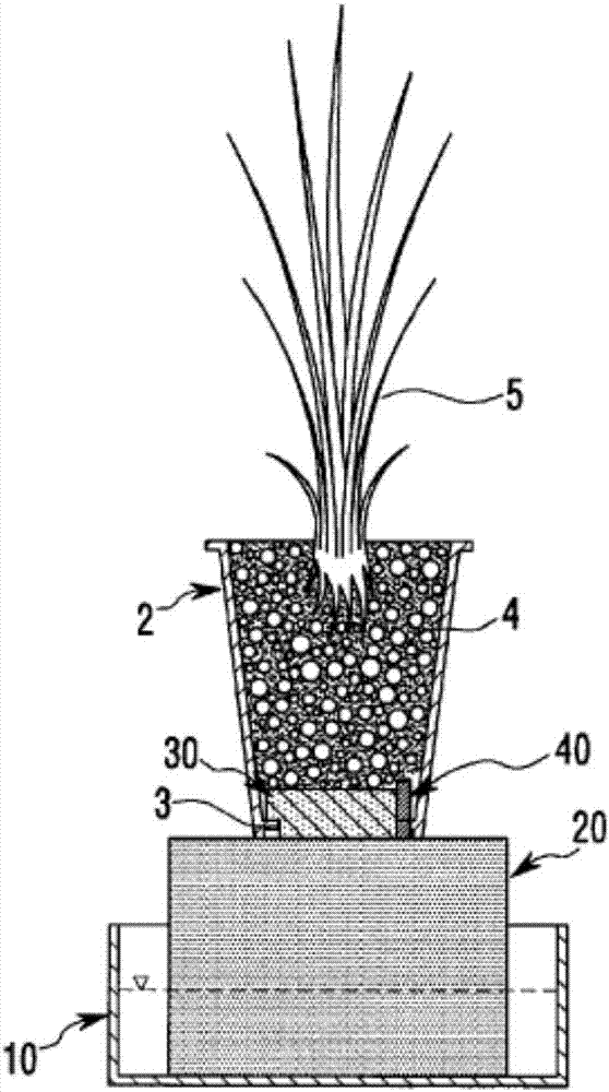 Automatic water supply apparatus having function of flowerpot humidification