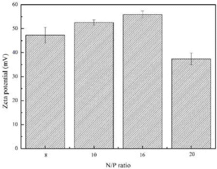 SiRNA-loaded MSR-1 magnetosome compound and preparation method thereof