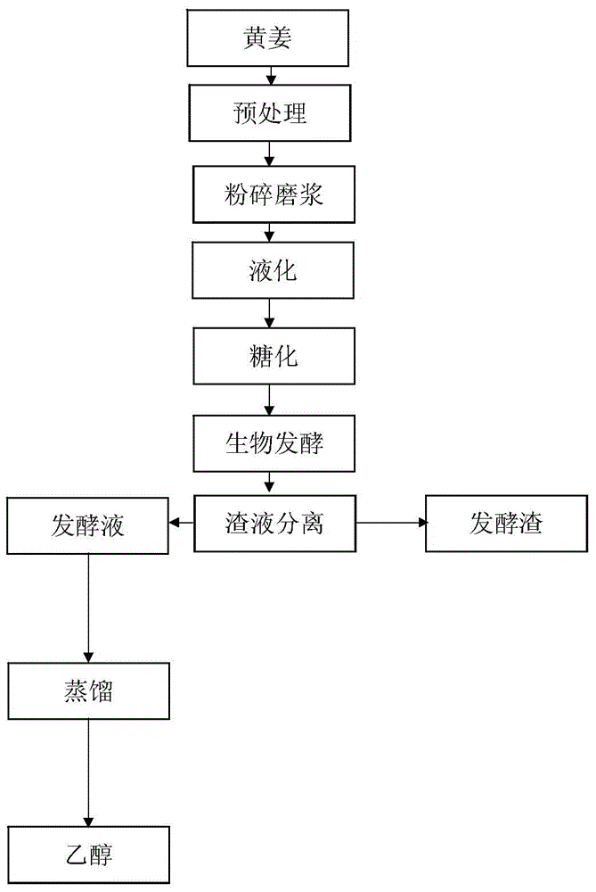 Method for producing ethanol from turmeric