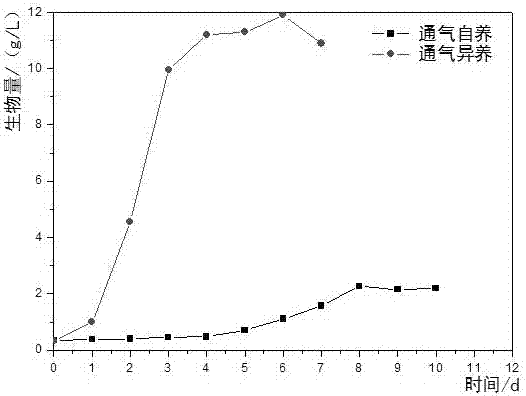 Euglena gracilis culturing method