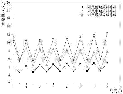 Euglena gracilis culturing method